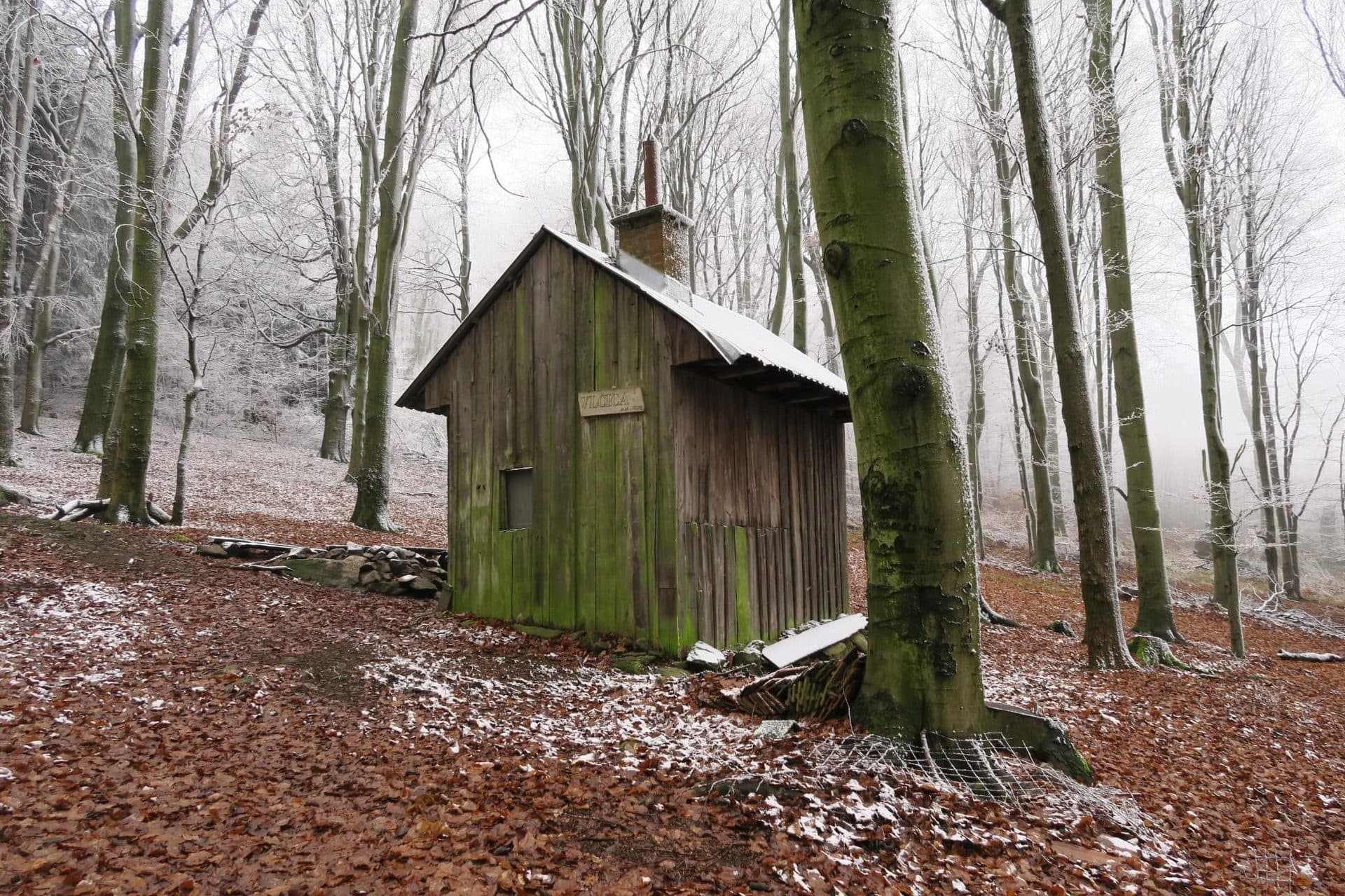 Vlčica pod Medvedím vrchom